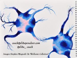 Pensamientos. Rutas neuronales - Imagen Stephen Magrath, Wellcome collection