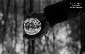 Coaching y tu Esencia la persona se descubriese a sí misma, encontrase sus valores, sus recursos, sus capacidades y buscase su propio camino y sus propias soluciones.